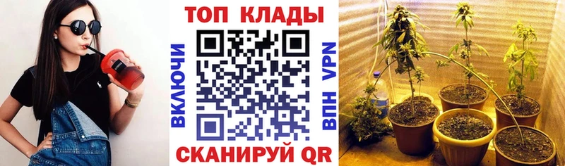 Купить наркотики сайты Зея Галлюциногенные грибы Амфетамин МДМА Кокаин Мефедрон