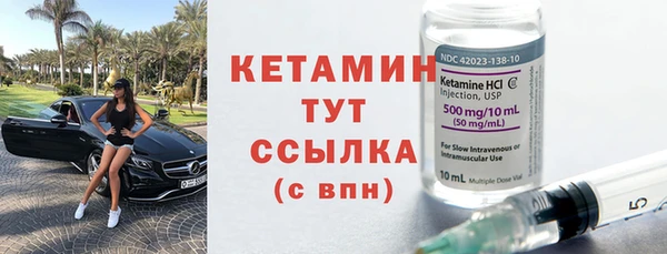 твердый Новозыбков