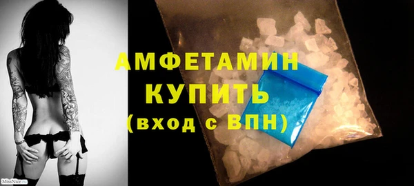 твердый Новозыбков