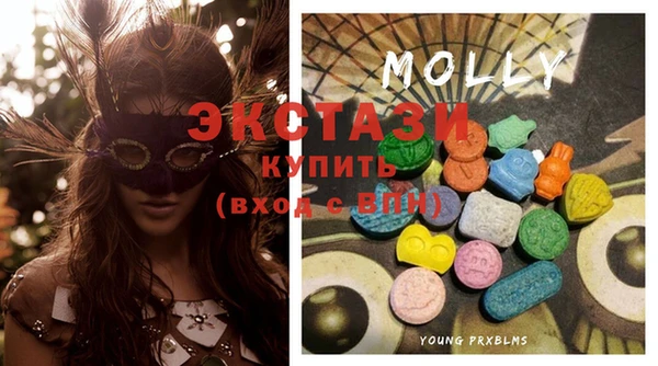 стаф Абинск