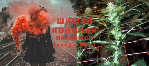 стаф Абинск