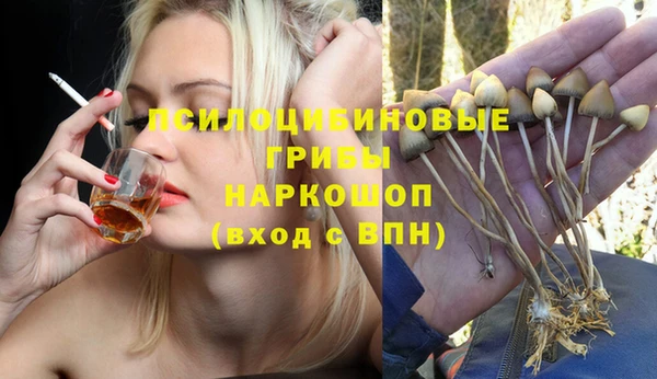 стаф Абинск