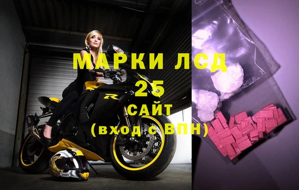 apvp Алзамай