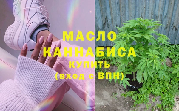 твердый Новозыбков