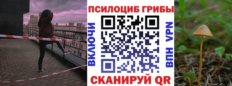 Псилоцибиновые грибы прущие грибы Зея
